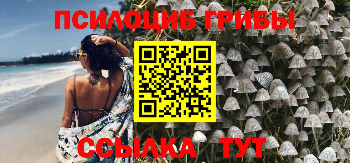 Галлюциногенные грибы Magic Shrooms Крымск